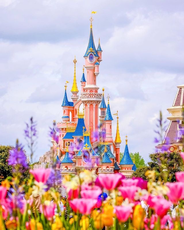 A flowery May morning 🌸

📸 @tout_a_commence_par_une_souris

#DisneylandParis30 #Show #Spectacle #Fireworks #DisneyParks #DisneyDreams
#DisneylandParis
#WaltDisneyStudios #mickeymouse #memories #DisneyMagicMoments #Disney #sleepingbeautycastle #travel #Repost #Paris #ThemePark