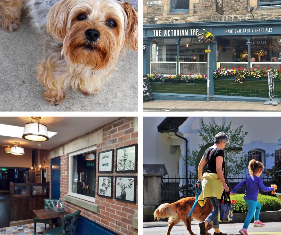 Natalie Finnigan tweet media