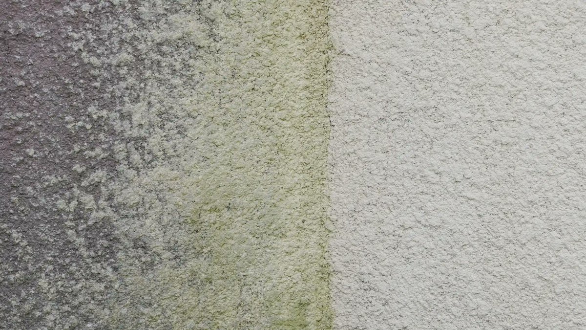 1clean_uk's tweet photo. Are you tired of those unsightly marks and stains on your rendered walls? Well, fret no more! 😃

Learn how to handle this task with our article.

https://t.co/ov1uNmtuyL

#homeimprovement #cleaning #DIY #cleaners https://t.co/KHzH4TtYpS