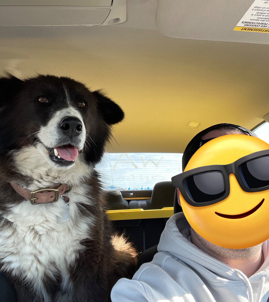 Jingo (Off doing IRL!) (@stinkyjingo) on Twitter photo 