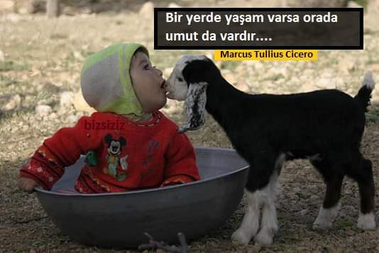 Bir yerde yaşam varsa orada umut da vardır.