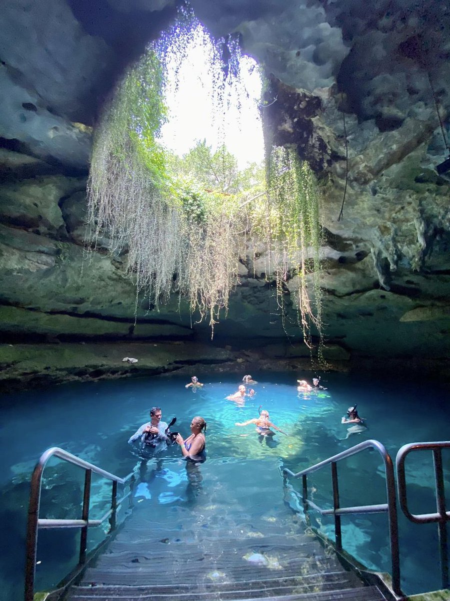 Joy Baglio on Twitter "Submerged myself in an ancient sinkhole in the