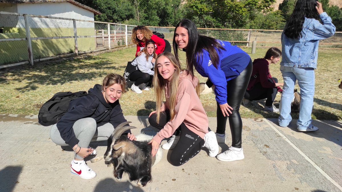 EEncantadaElena's tweet photo. Hoy visita a la granja escuela @ceieljarama. Una gran  experiencia en la naturaleza que nos permite conocer más opciones laborales. Aprendemos y disfrutamos a partes iguales. Gracias por la fantástica acogida de nuestro monitor, Toni, quien nos ha motivado con su dedicación.😀 https://t.co/0c3Dl5peQM