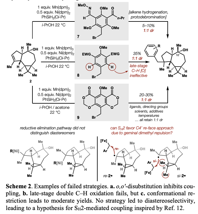 Total Synthesis tweet media
