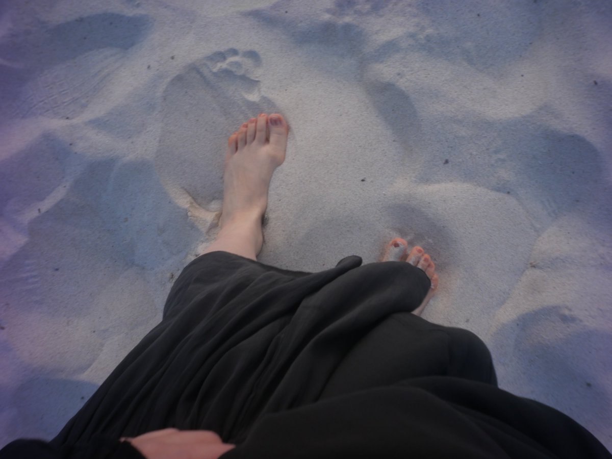 はっちょ (@hacchanno) on Twitter photo 