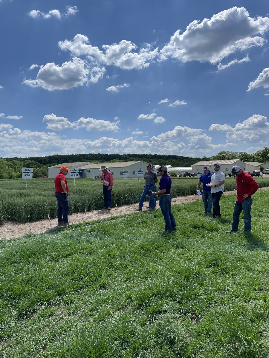 Apwheat's tweet image. AgriPro varieties are #1,2 and 3 in Kansas… in large part because of our AgriPro Associates.  The best of the best.