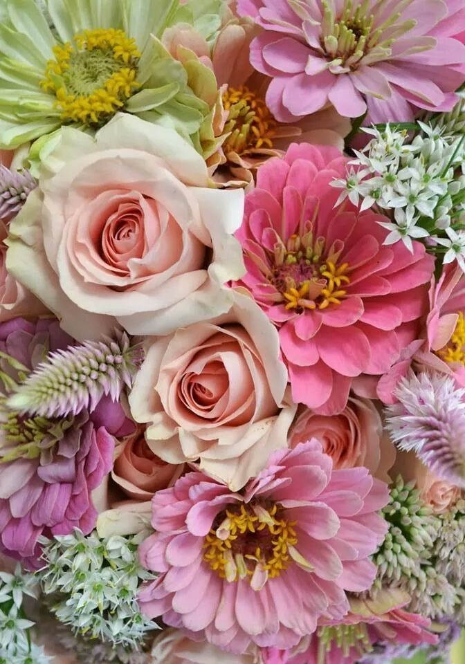Mitsue Butler 💍💖💎🎀 (@mitsuemitsu) on Twitter photo 