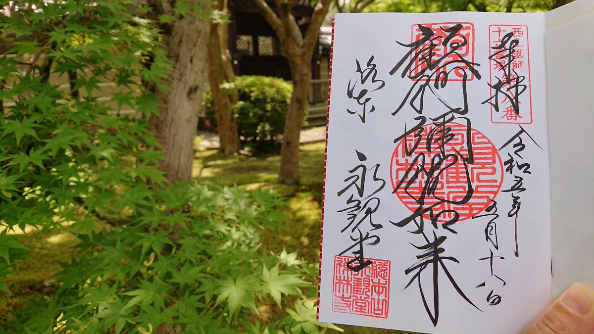 MACO36052524's tweet photo. 京都市左京区　永観堂 禅林寺

今日は永観堂禅林寺へ御朱印を頂きに行って来ました (ง ˙ω˙)ว
山の斜面に沿って木を組み合わせてつくられた臥龍廊もやっと歩くことができました٩(ˊᗜˋ*)و
青もみじもキラキラ✨
とても良い時間を過ごしました。
#京都市左京区 #永観堂禅林寺 #臥龍廊 #御朱印 #青もみじ https://t.co/nW5lZqggrO