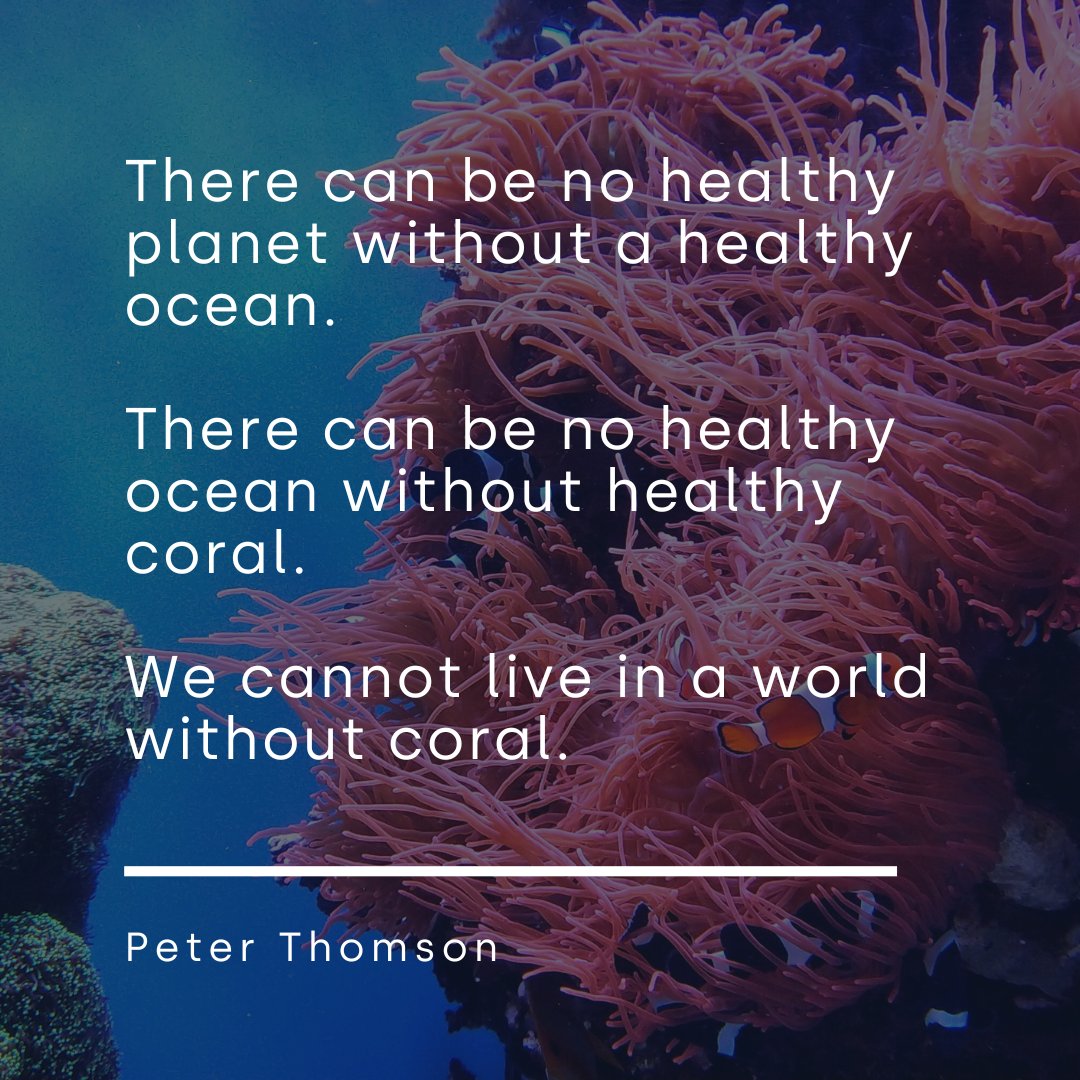 We cannot live in a world without coral 🪸💙🌏
#ForCoral #Oceans