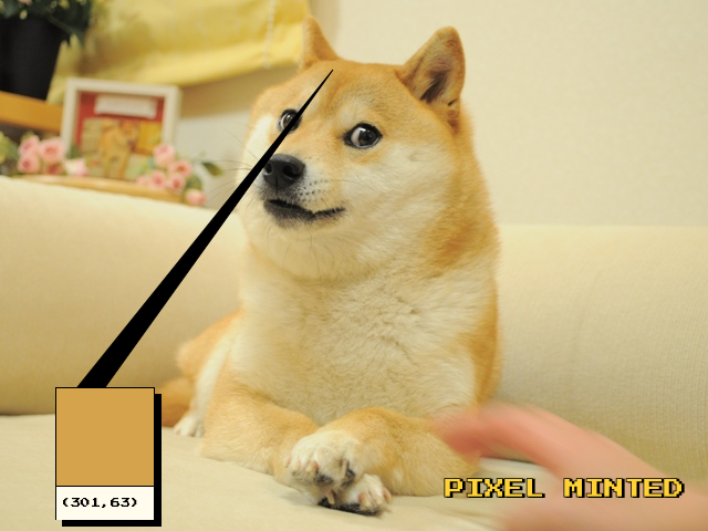DogePixelBot's tweet photo. Pixel (301, 63) minted by pixelperks.eth
https://t.co/DQZNEafEDH https://t.co/SRixRaGjUW