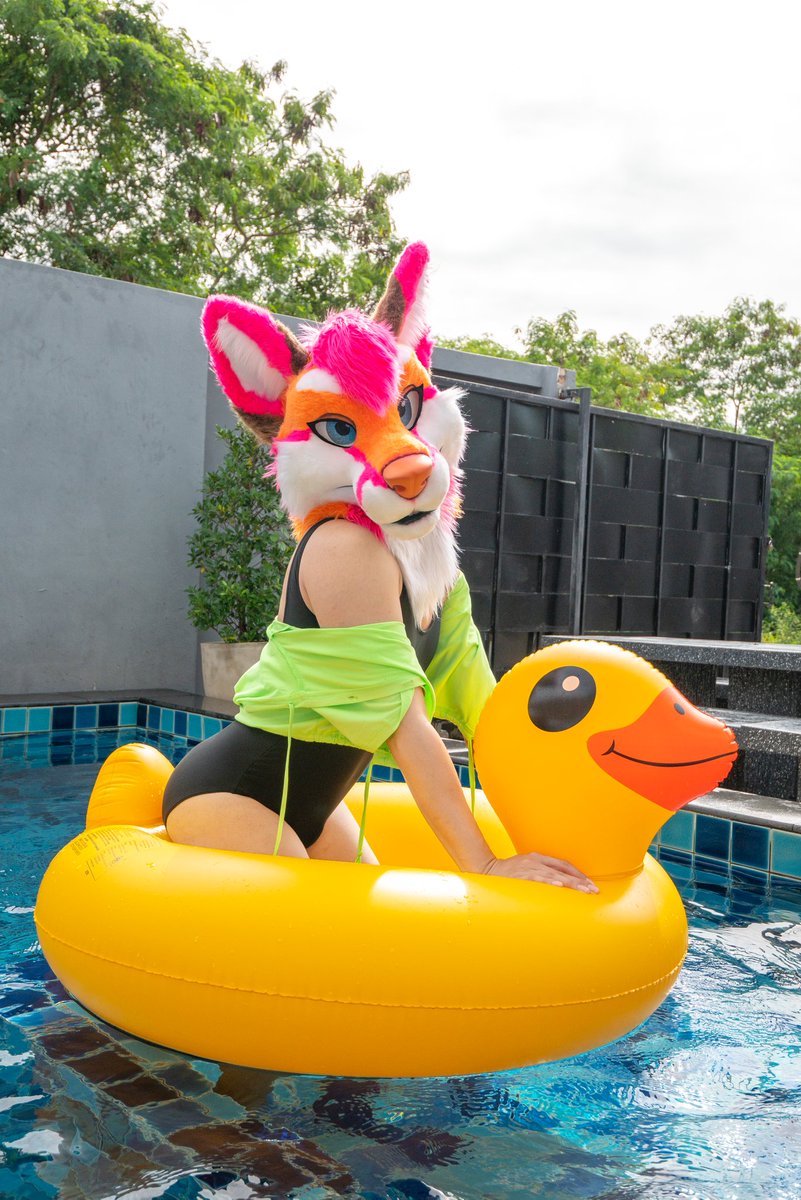 🦊 Kiyochii Thefox ✨ tweet media