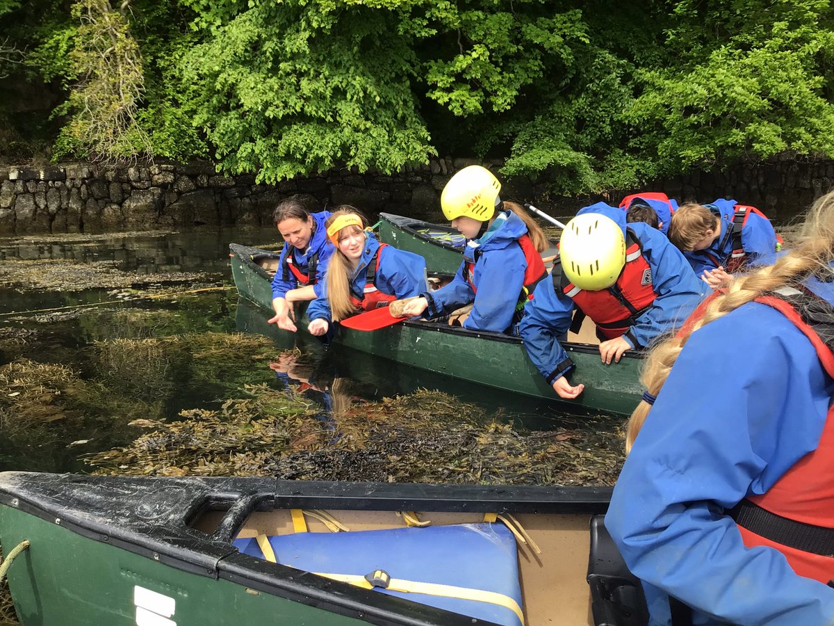 BarrowCEPrimarySchool tweet media