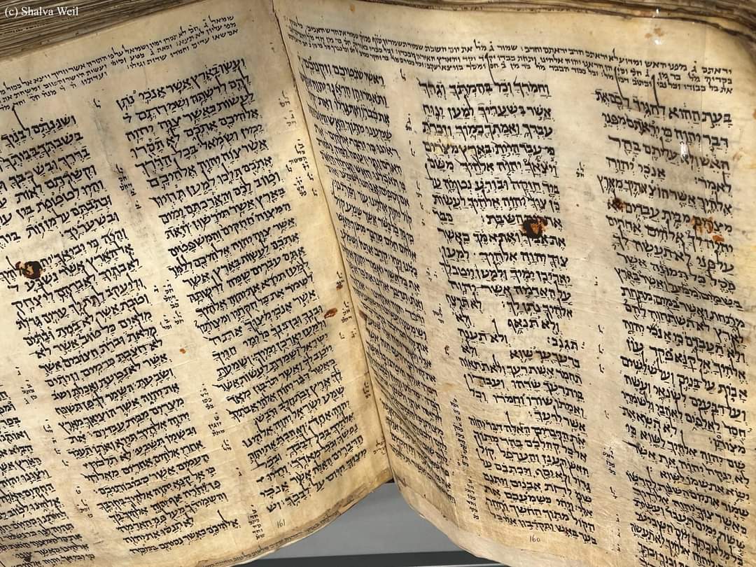 OsservaMy's tweet photo. La più antica Bibbia ebraica quasi completa, nota come #CodexSassoon, risalente a circa 1.100 anni fa (è datata alla fine del IX o all'inizio del X secolo), è stata venduta all'asta da Sotheby's a New York per 38.126.000 dollari (35.170.000 euro). https://t.co/MyKGkdVa5G