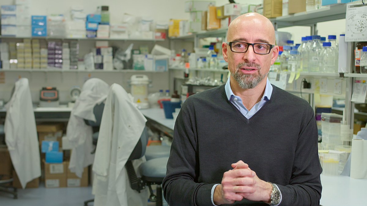 🗨️"No li falten idees; no li falten centres de recerca, que en tenim de molt bons; no li falta iniciativa. El que li falta són diners" <a href="/macips01/">Salvador Macip</a> 

📲#CientíficsTV3
🔗tv3.video/30mInvestigado…