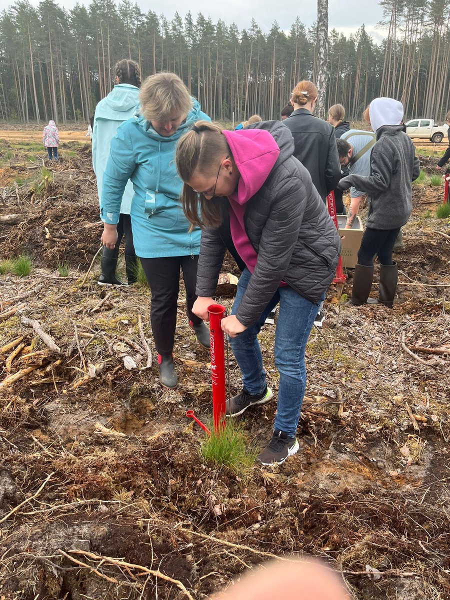 Daugavpils valsts ģimnāzijas skolēni kopā ar MKPC Preiļu nodaļu un LVM Sventes iecirkņa pārstāvi apgūst mežkopja prasmes nākotnes meža stādīšanā.