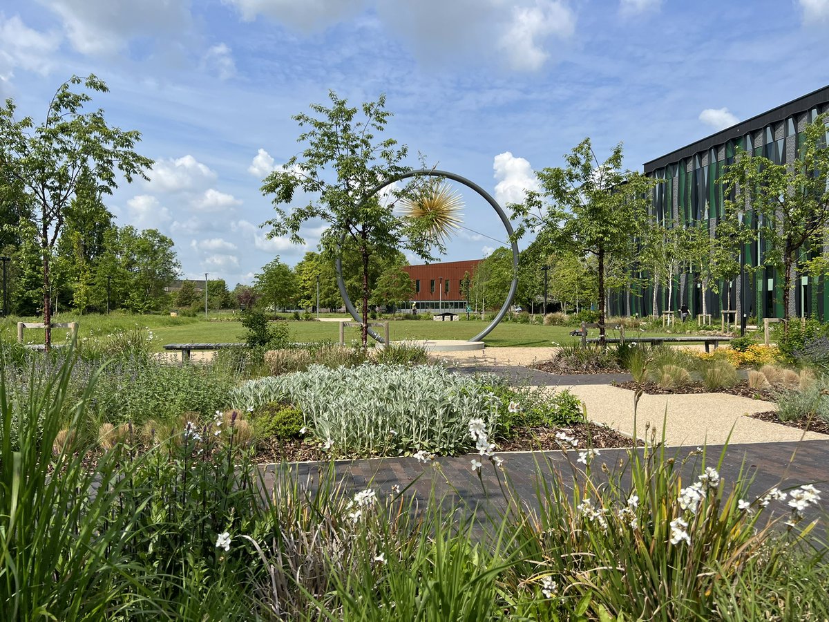 Mango Space tweet media