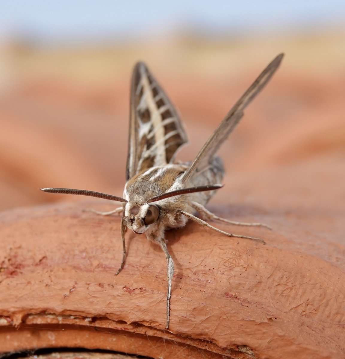 James Bashford tweet media