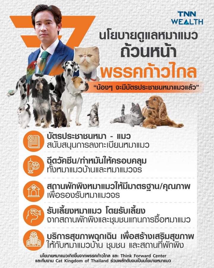 เขื่อว่าคนที่กาไห้ก้าวไกลสองใบส่วนนึงเพราะเป็นทาสแมวววววด้วยยย😸😸
#นายกพิธา