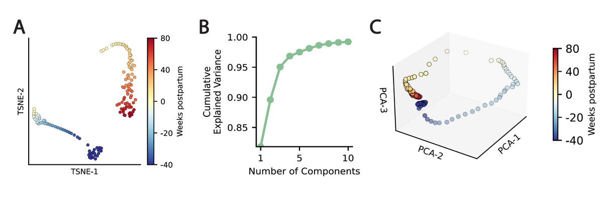 Alon Bar tweet media
