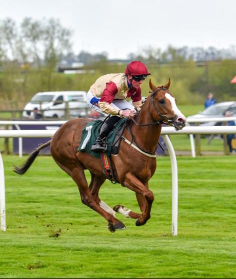 One runner this afternoon @yorkracecourse.
⏰4:10 #ChangeOfMind ridden by Harrison Shaw for Owner Mr B Cooney.
@shaw_harrison @mlcooney82 @RacingSantry @freddytylicki @YorkshireRacing.