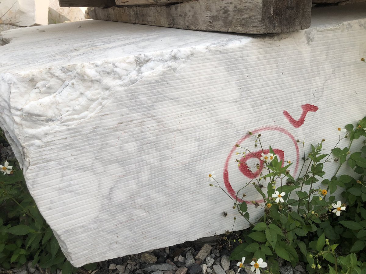 jilongstar's tweet photo. Arabescato Carara White 

#marble #hotellobby #interiordesign #luxuryresidential  #washrooms  #homedesigns  #royals   #design  #architecture #Resorts  #renovation #furniture #countertops #outlets #Granite #SG #UK #Elonmusk #Qatar
#marble #hotellobby  #interiordesign https://t.co/WLgznVlHUv