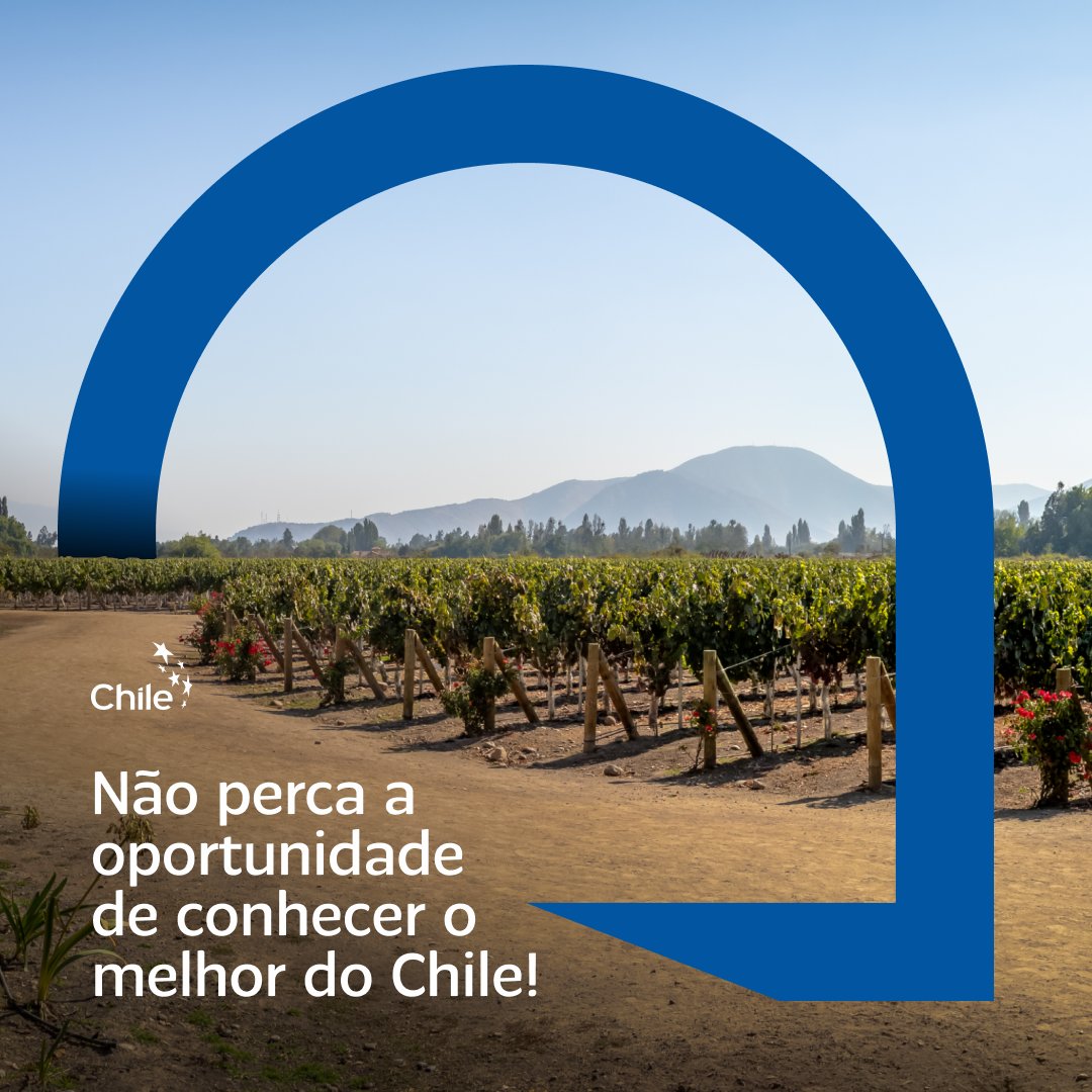 Ainda dá tempo de conhecer o melhor do Chile, degustar ótimos vinhos e trocar ideias sobre negócios! Neste último dia da APAS Show 2023, teremos mais uma rodada de Networking &amp; Wine!

Esperamos por você!

#chile #prochile #wine #networking #vinhochileno #apasshow