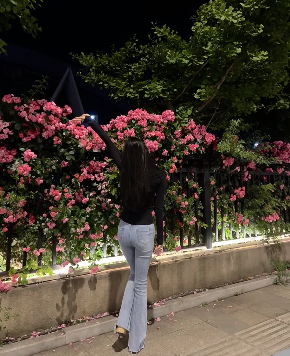 leMr896's tweet photo. 体育馆的蔷薇花🌸

#浙江 #杭州 #湖州 #背影 #美臀  #性感 https://t.co/nVae06mQ22