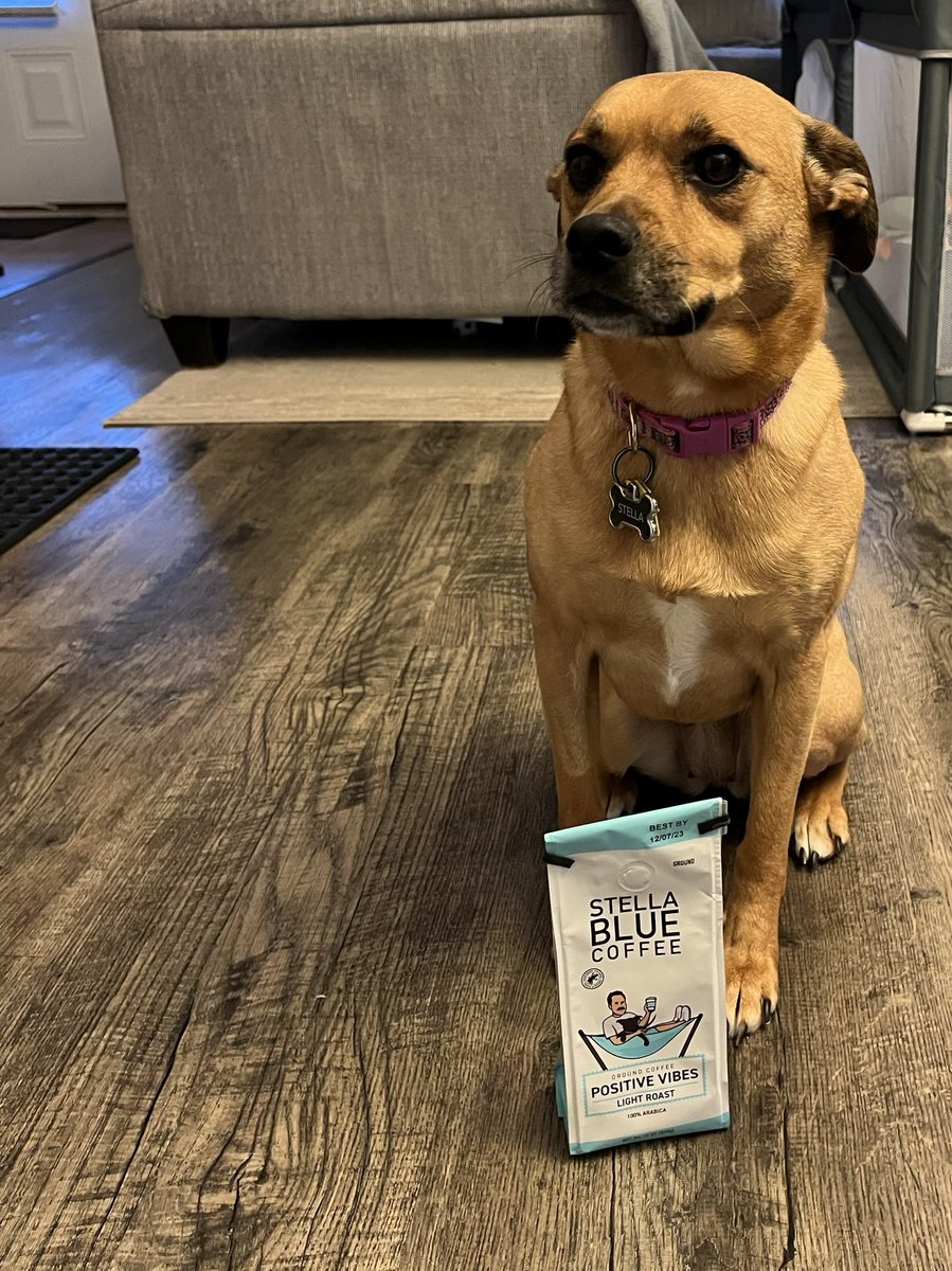 <a href="/BarstoolBigCat/">Big Cat</a> From my Stella to yours <a href="/StellaBlueCoff/">Stella Blue Coffee</a>
