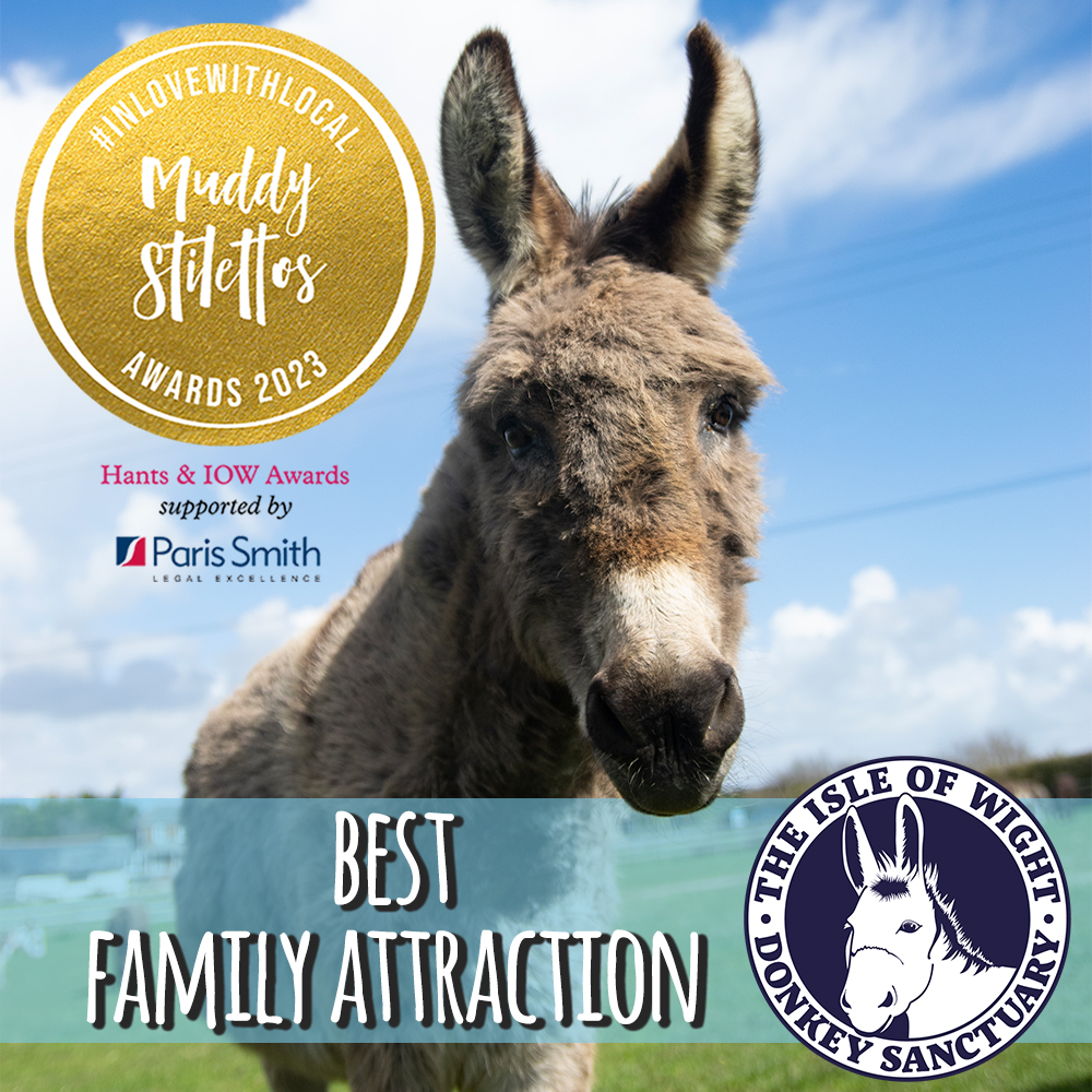 We're in the top 5 of Family Attractions in Hampshire &amp; IOW in the Muddy Stilettos Awards 2023!
We now need your help to reach the National Finals round

Voting runs from 17 May to 4 June
Please visit hants.muddystilettos.co.uk/vote and place your votes!

#muddystilettos2023 #voteforus