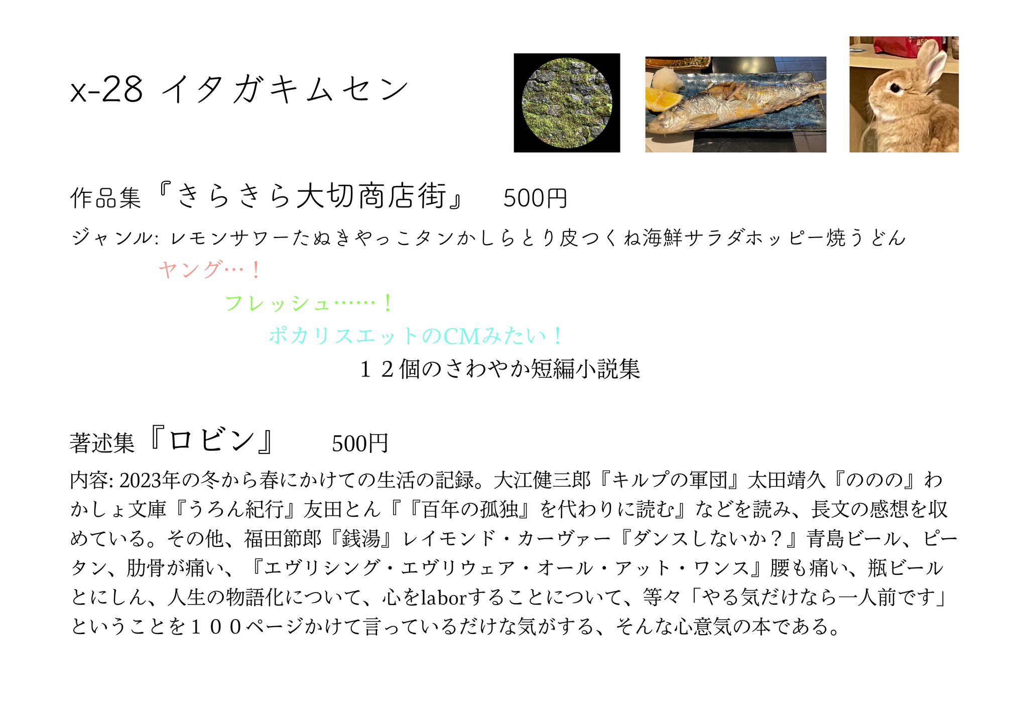 ポロロ※紹介文を必ず読んでコメントを！さま専用 ポロロ※紹介文を必ず読んでコメントを！さま専用