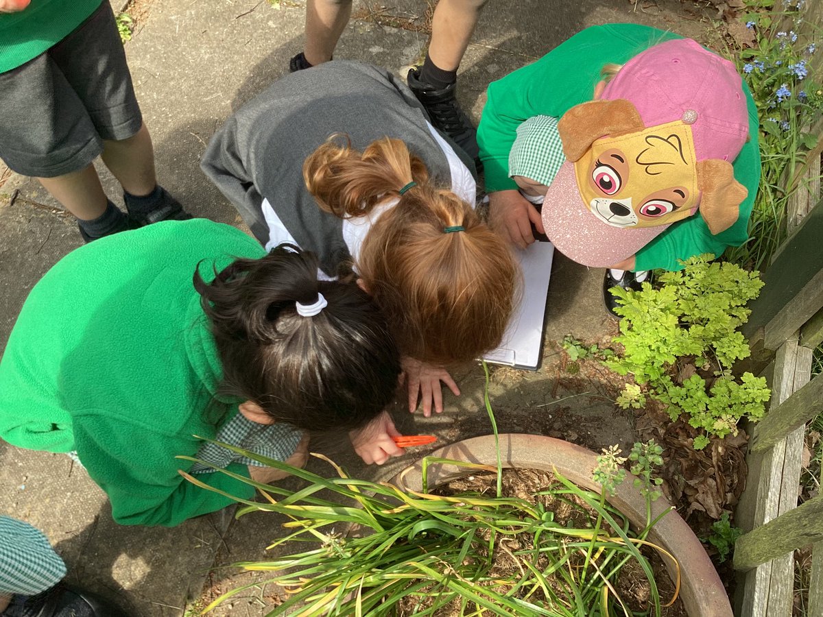 whcps's tweet photo. Minibeast hunts were also very popular when reception did some of their outdoor learning for #outdoorclassroomday. They found wood lice, worms, ants, a centipede and a caterpillar. #whceyfs #whcoutdoorlearning https://t.co/qgvPUtsDKQ