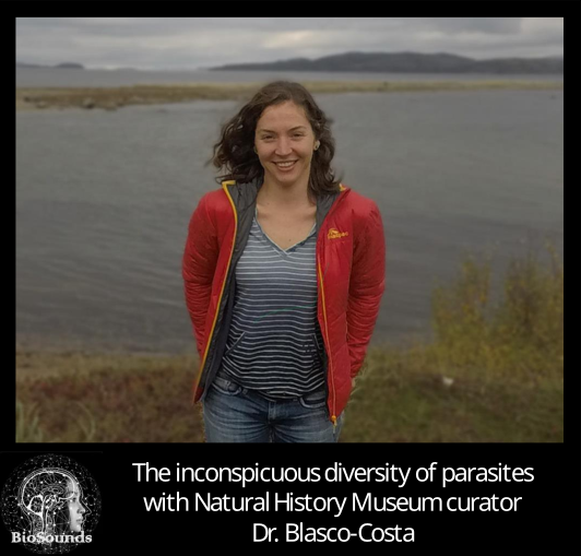 BioSounds tweet media