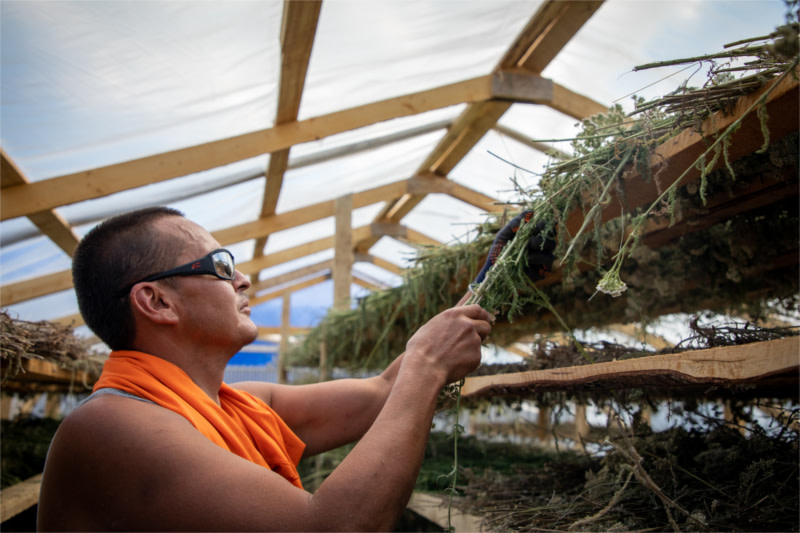 Whether it's starting up a solar energy company or starting a boreal forest herbal production business, Indigenous values and oral traditions continue to impact the way Indigenous Peoples do business. 

Learn more: saymag.com/indigenous-peo…

#saymag #environment #sustainability