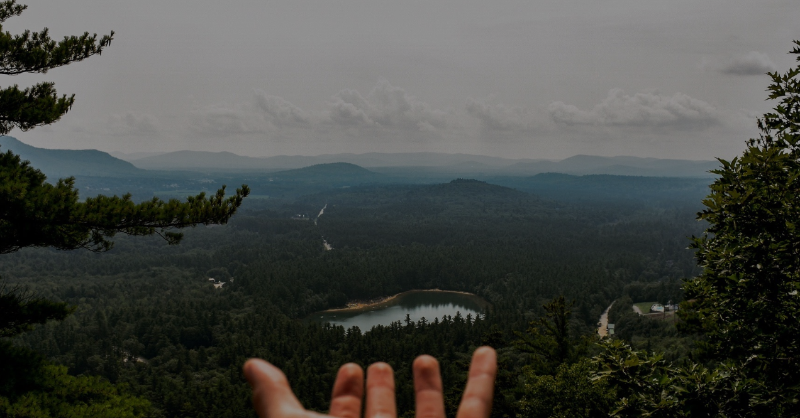 Areas_ES's tweet photo. 🌍✈️ ¿Preocupado por el impacto ambiental de tus viajes? 🤔 ¡No te preocupes más! En nuestro blog te enseñamos cómo viajar de forma #ecológica y respetuosa con el medio ambiente 🌿🐾🌞.
¡Únete al movimiento verde! 💚 #AreasForChange #blogviajero