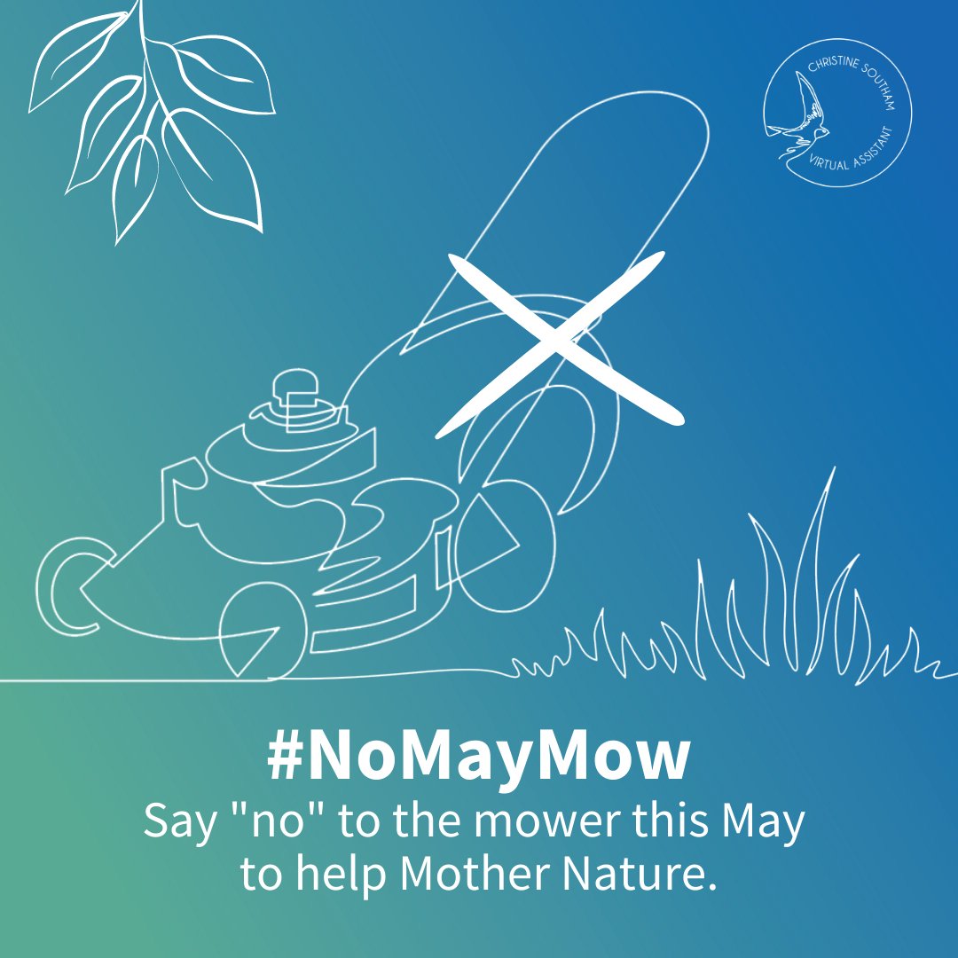 #NoMowMay is our chance to let nature take the lead & have colourful, wild outdoor spaces full of wildflowers & creatures!

Drop a 💚 if you're joining the movement & saying no to polluting & energy-guzzling mowers!

#GrassGrowth #Nature #GrowWithNature #GardenLife #BetterFuture