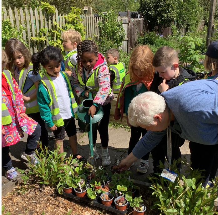 Thank you to the horticulture department at <a href="/Shipley_College/">Shipley College</a>  for organising a planting workshop for Reception in their allotment this week. The Children really enjoyed planting begonias and geraniums. We also produced some detailed drawings of spring flowers in Roberts Park.