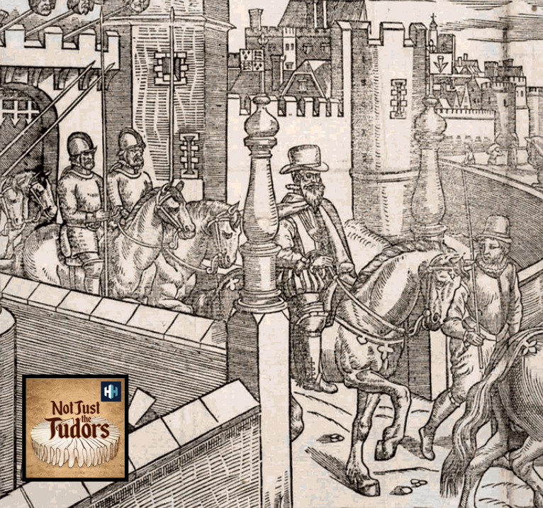 The history of 118 years of Tudor monarchs cannot fully be told without understanding their relationship with Ireland. In today's podcast, Professor Suzannah Lipscomb finds out more from Professor Christopher McGinn: podfollow.com/not-just-the-t…