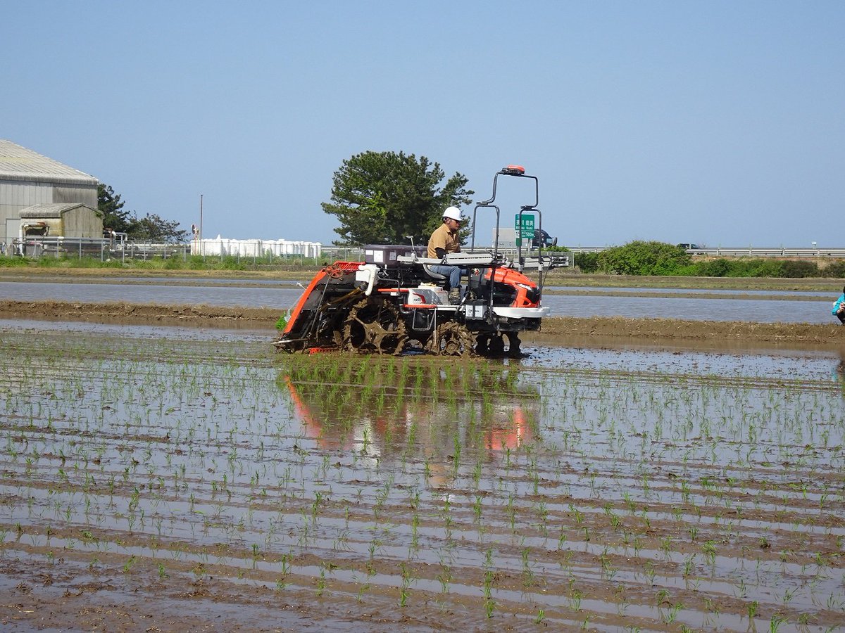 europawire's tweet image. #RiceProduction in Japan Set for Advancement as BASF, Kubota, and ZEN-NOH Launch Collaborative Project news.europawire.eu/rice-productio… #cropoptimization #fertilization @BASF