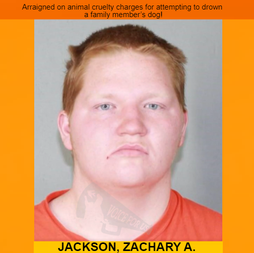 - New York, USA -
ZACHARY A.JACKSON arraigned on animal cruelty charges for attempting to drown a family member’s dog
voiceforus.com/post/zachary-a…

#animalcruelty #crueldadanimal #animalslivesmatter #newyork #eriecounty #dogs #drown #cheektowaga #buffalo #deathpenaltyforanimalabusers