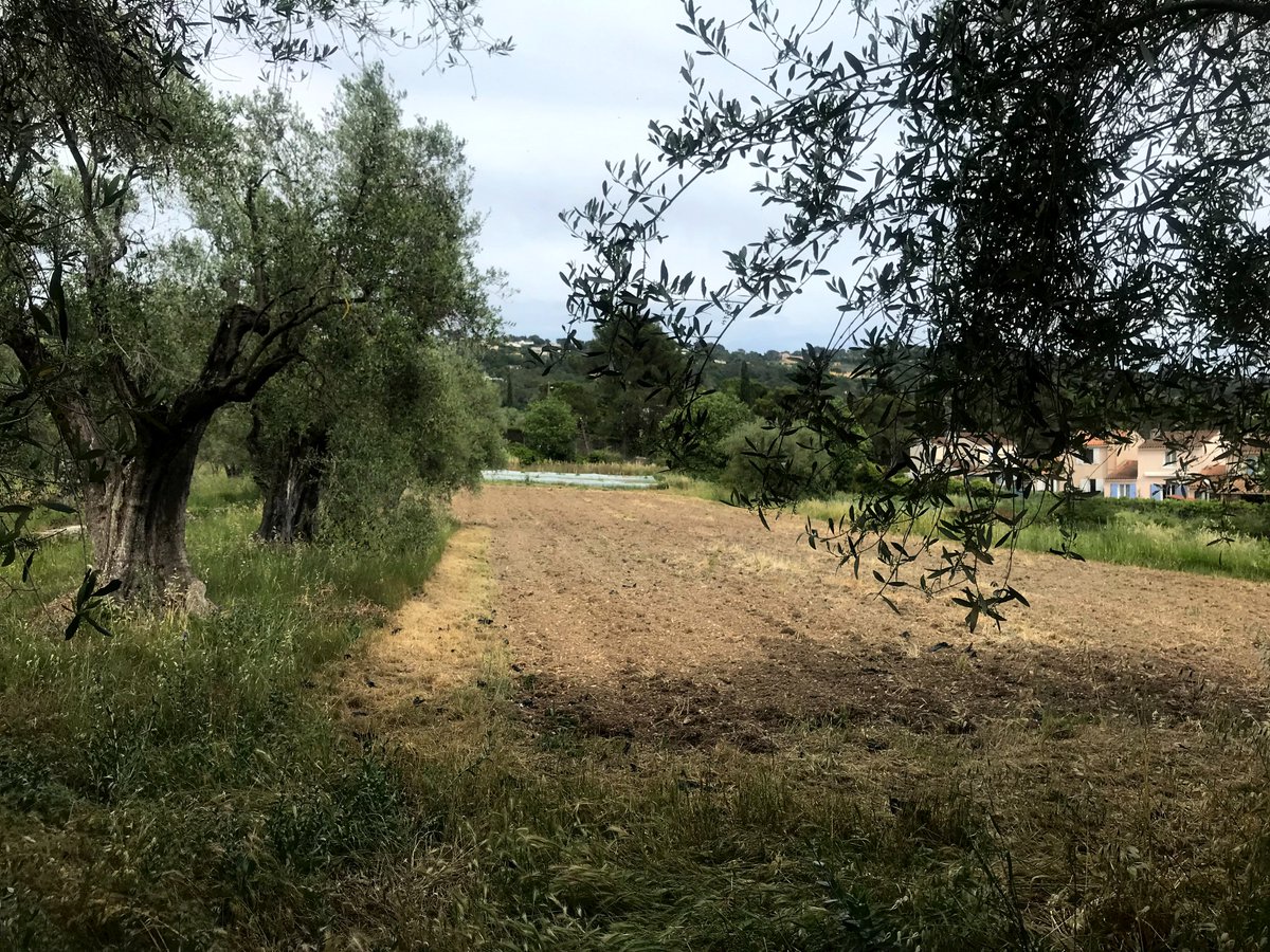 J.J Bregeaut tweet media