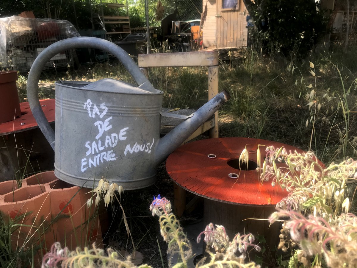 J.J Bregeaut tweet media