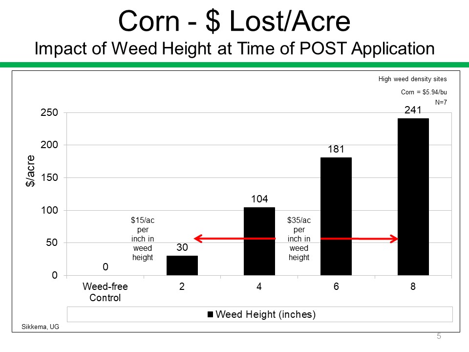 psikkema1's tweet photo. From 2018-2021, the average price of corn was $5.94 in Ontario (OMAFRA). If weeds are up to 2, 4, 6, and 8 inches in height at time of postemergence herbicide application the loss in $/acre was $30, 104, 181, and 241, respectively. Corn is very sensitive to weed interference. https://t.co/CP7DsfwJEl