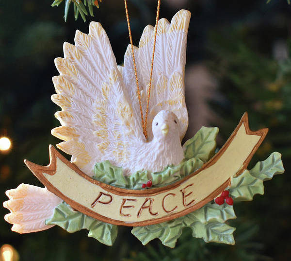 #peace #ornament #peaceonearth #dove #artprint and other products available here!  #AYearForArt 
#holidays #holidayornaments
 fineartamerica.com/featured/peace…