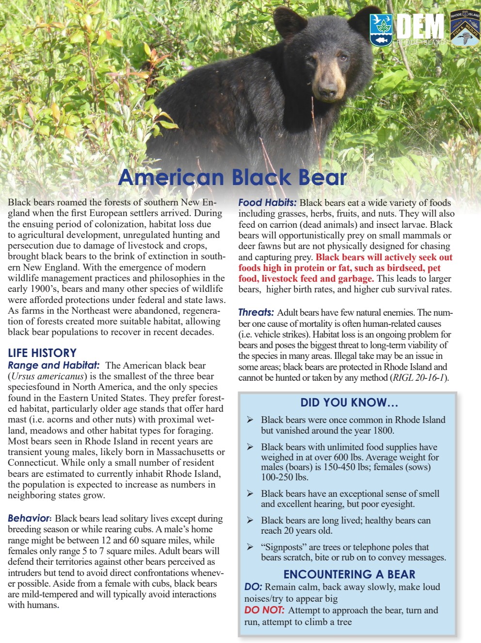 Cumberland RI Police on Twitter "🐻Bear Awareness🐻 You may have seen or