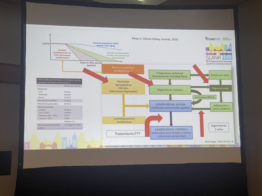 DREVEROLIVIE's tweet image. Nefropatia de Causa No Tradicional “Mesoamericana”

Hipótesis del modelo multi causal de daño renal en el caso Nefropatia Mesoamericana.

#PorLaSaludRenal #SoyNefrologo #SLANH #SLANHJoven @SLANH
@visanpolo