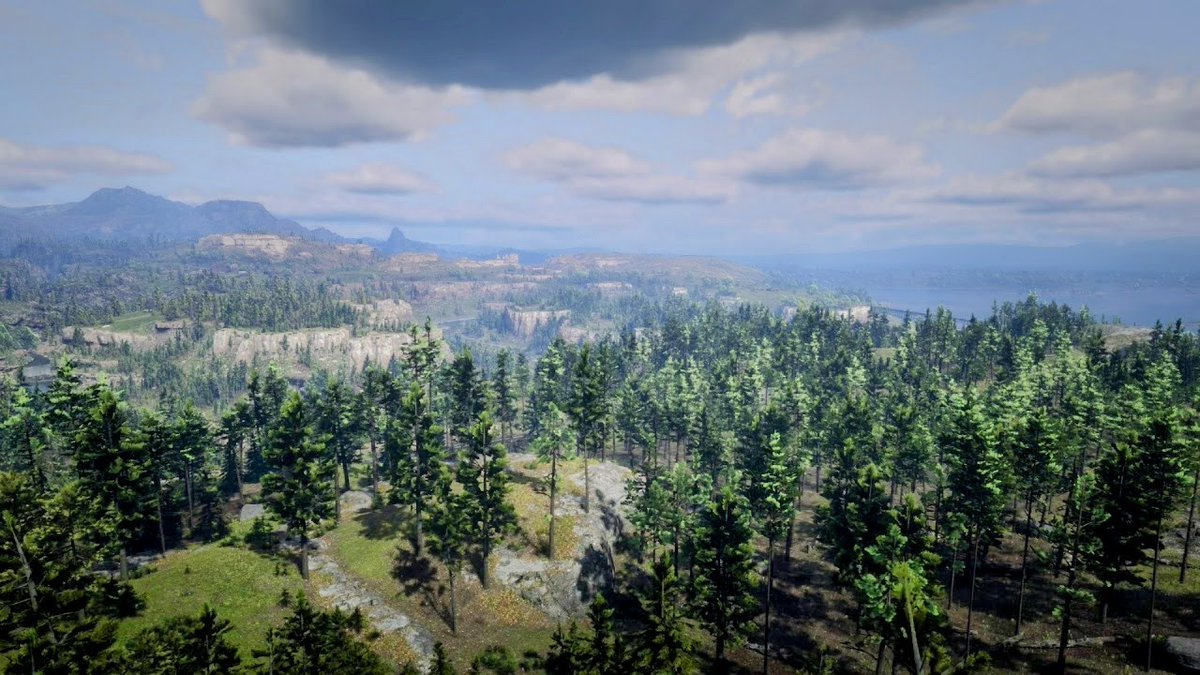 Wallpapers tweet media