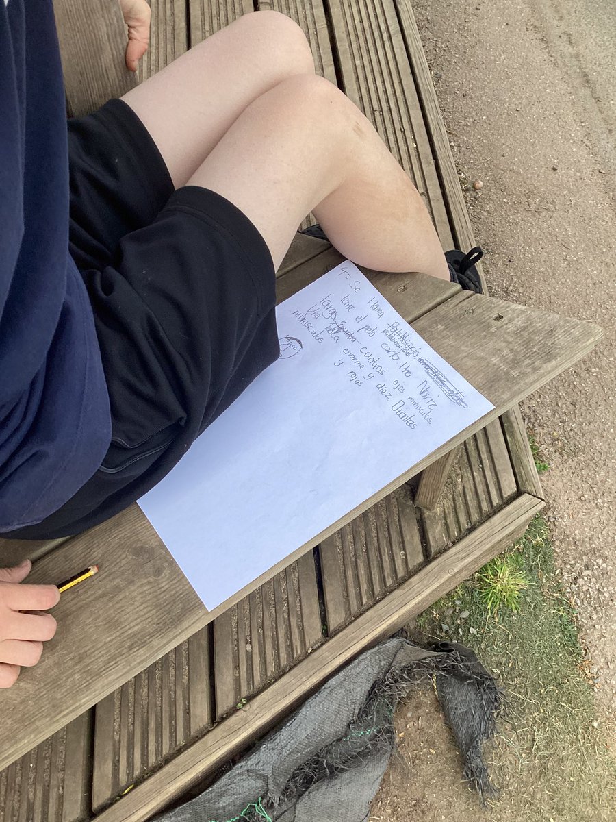 whcps's tweet photo. 5AP worked in pairs, one reading and memorising a text then running back to their partner to write it down. Then they had to understand the text and draw the picture. #WHCoutdoorlearning #whcspanish #OutdoorClassroomDay #whcyear5 https://t.co/SpQmLKNk0Q