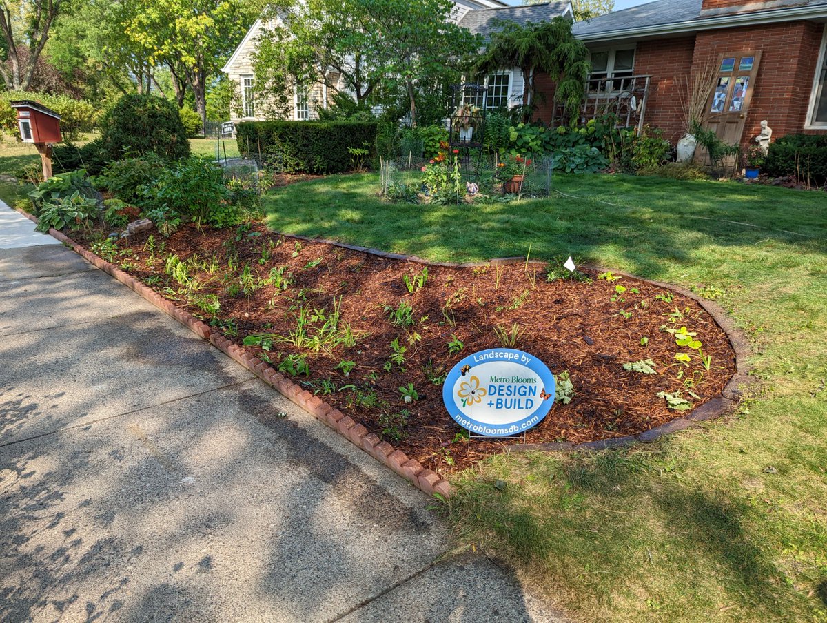 Metro Blooms tweet media