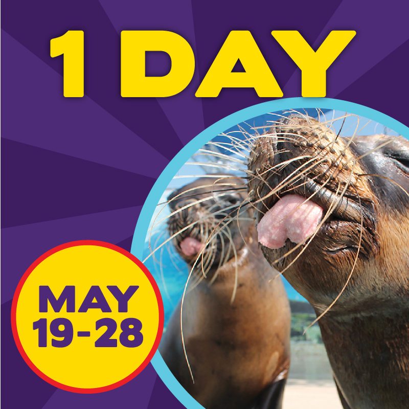 The Fair at Heritage Park tweet media