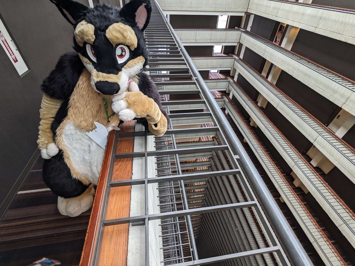 Stinky_Shiba's tweet photo. Some pictures from FWA, I had a blast! I’m in the process of moving between work as well, so hopefully my normal posts will continue next week. Thanks everyone! https://t.co/heiE3wobmK